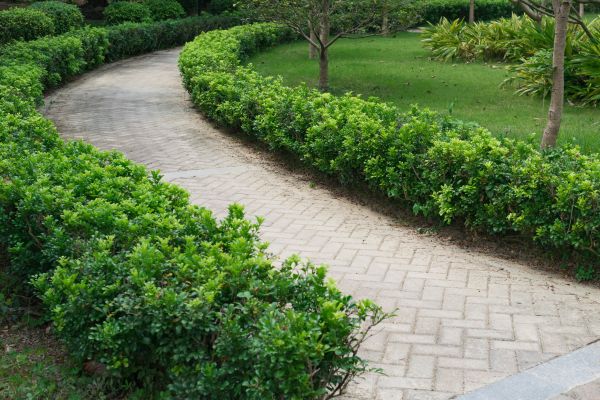 Outdoor Pathway Installation